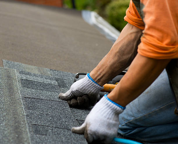 Best Gutter Installation and Roofing  in St Simons, GA
